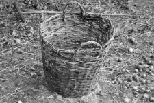 Basket