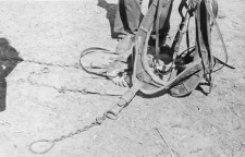 Horse collar fragment