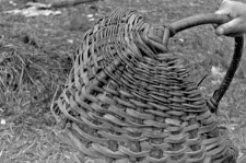 Fragment of a basket: the plaiting technique