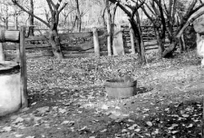 Stave bucket