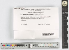 Albatrellus cristatus (Fr.) Kotl. et Pouzar