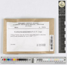 Cortinarius nemorensis (Fr.) J. E. Lange