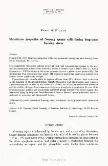 Membrane properties of Norway spruce cells during long-term freezing stress