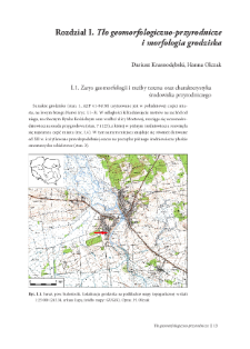 Tło geomorfologiczno-przyrodnicze i morfologia grodziska