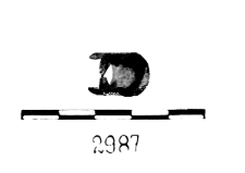 object (Tuchomie) - chemical analysis