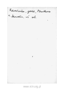 Kamionka II. Files of Czersk district in the Middle Ages. Files of Historico-Geographical Dictionary of Masovia in the Middle Ages