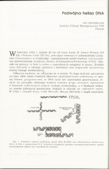 The double helix of DNA