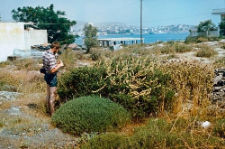Macedonia and Thrace (1979)