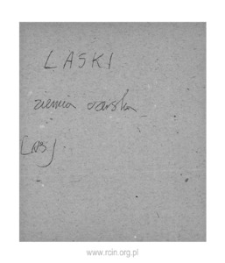 Laski. Files of Czersk district in the Middle Ages. Files of Historico-Geographical Dictionary of Masovia in the Middle Ages