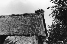 A gable structure in the log barn