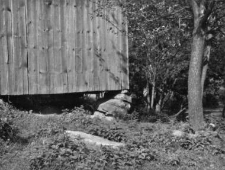 A corner of a barn