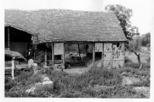 A barn