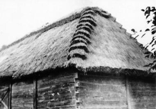 A barn - a hipped roof