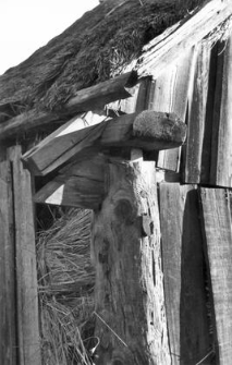 A roof setting in a barn