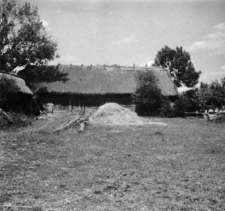 A cowshed and a log barn, hipped roofs