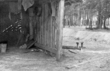 An exit of a barn