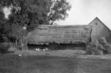 An old barn