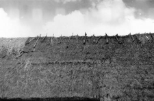 A roof, reinforcement of an upper ridge