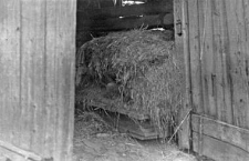 A door of a barn