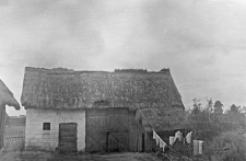 A barn and a pigsty