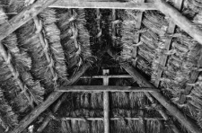 A thatched roof with straw