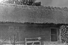 A barn with a pigsty