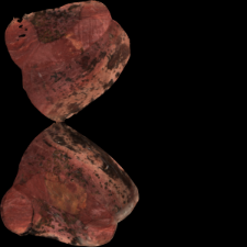Spindle whorl [3D]