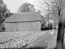 Barn