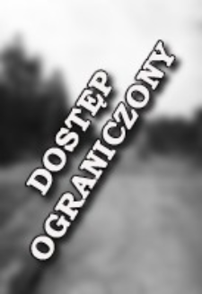 [A road to the forest] [An iconographic document]