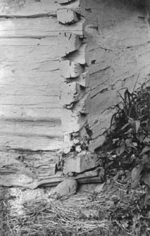 Log cottage