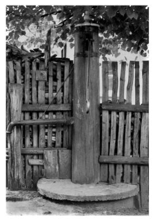 A pump