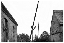 A fragment of a well with a shadoof