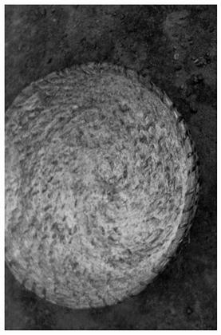 A small bread proofing basket