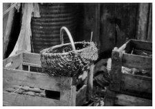 A basket