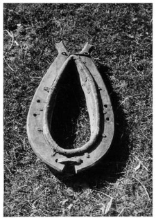 A horse collar