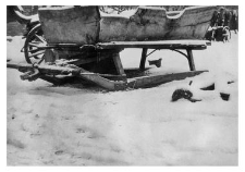 A sleigh