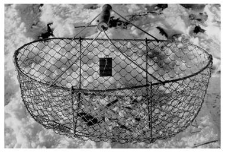 A basket made of a wire