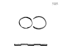 ring (Brzeźniak) - chemical analysis