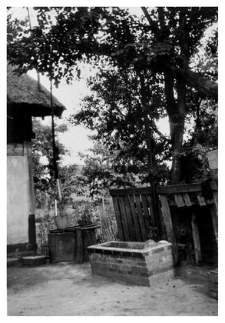 A well with a shadoof