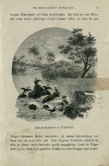 Von der Capstadt ins Land der Maschukulumbe : Reisen im s&uuml;dlichen Afrika in den Jahren 1883-1887. Bd. 2