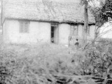A residential building with a thatched roof