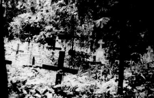 A fragment of a graveyard