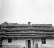 Log cottage