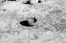 A basket
