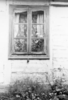 A window