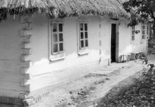 A fragment of a cottage