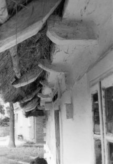 A fragment of a cottage
