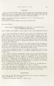 Lauf eines Wildschweines, Sus scrofa Linnaeus, 1758 mit abgeschossener Klaue; Noga dzika, Sus scrofa Linnaeus, 1758 z odstrzeloną racicą
