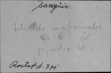 Kartoteka Słownika Łaciny Średniowiecznej; sanguis - scalpo