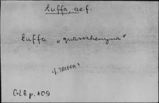 Kartoteka Słownika Łaciny Średniowiecznej; tuffa - tyrus